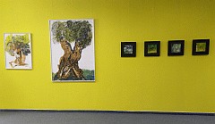 Galerieansicht mit Olivenbäumen