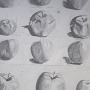 Äpfel<br />Kohle/Bleistift auf Papier<br />2006<br />2 Zeichnungen á 29 x 41 cm